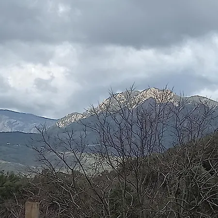 Nature Et Corse * Calcatoggio (Corsica)