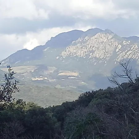 Nature Et Corse