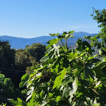 Vakantiehuis Nature Et Corse Calcatoggio (Corsica)