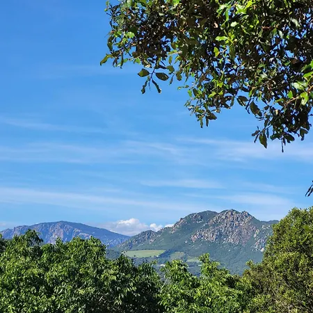 Vakantiehuis Nature Et Corse Calcatoggio (Corsica)